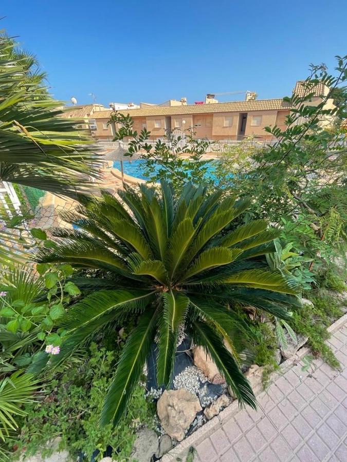 Apartament La Mata Torrevieja Exterior photo